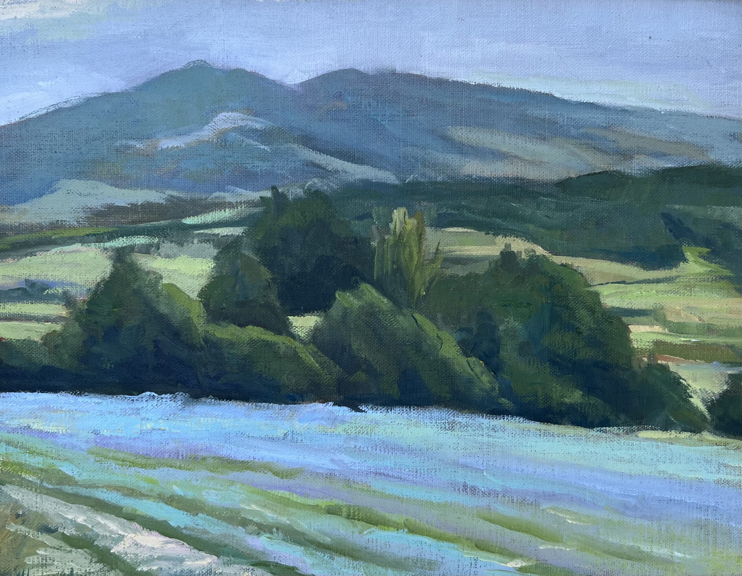Provence Field
