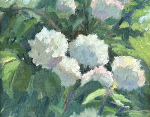 Floral Glory