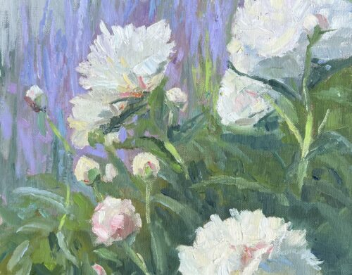 Peonies Popping