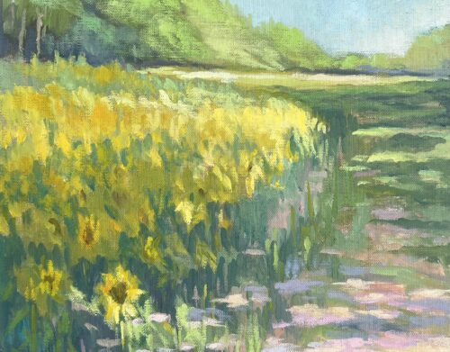Sunflower Pasture