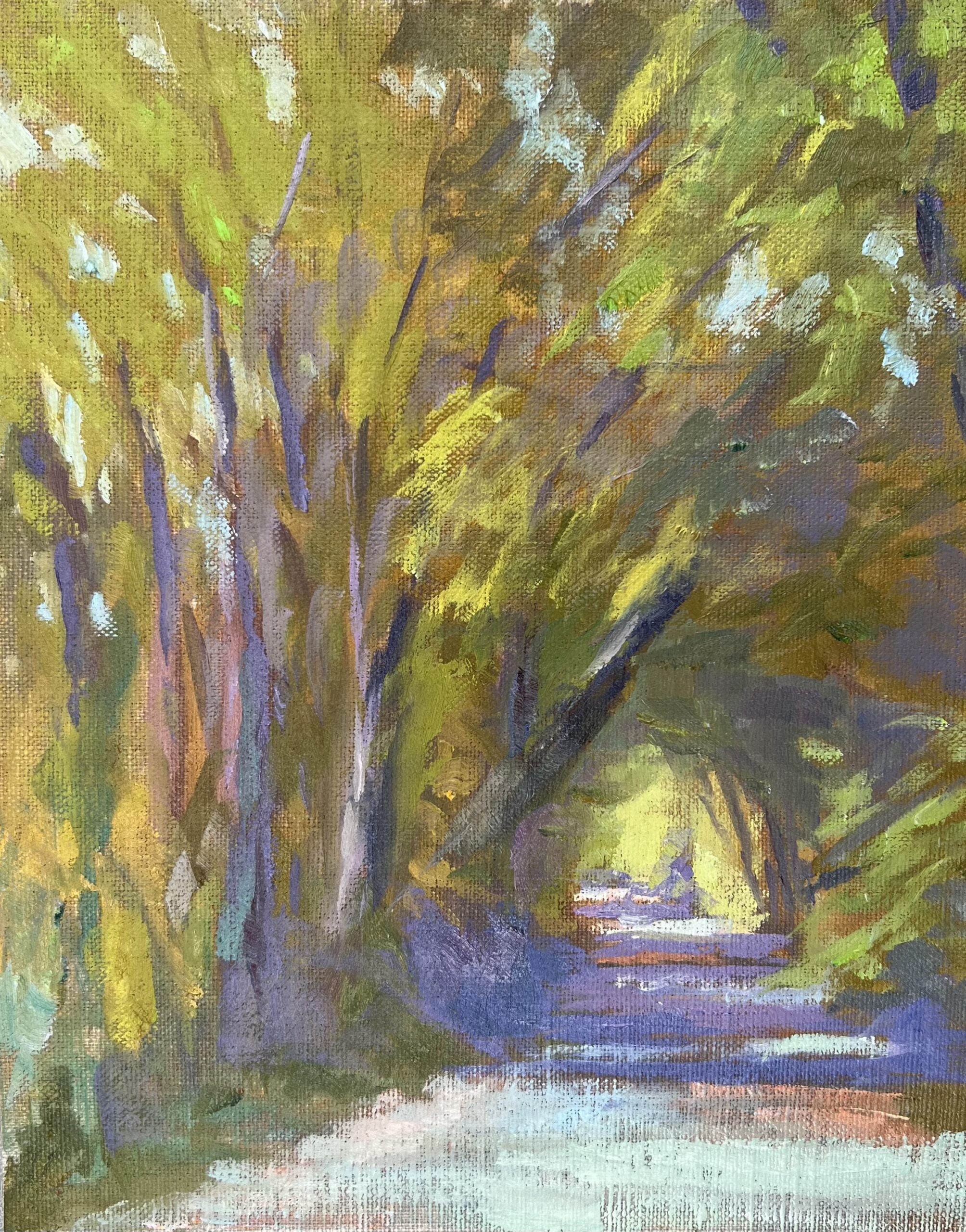 Autumn Trail Autumn Trail