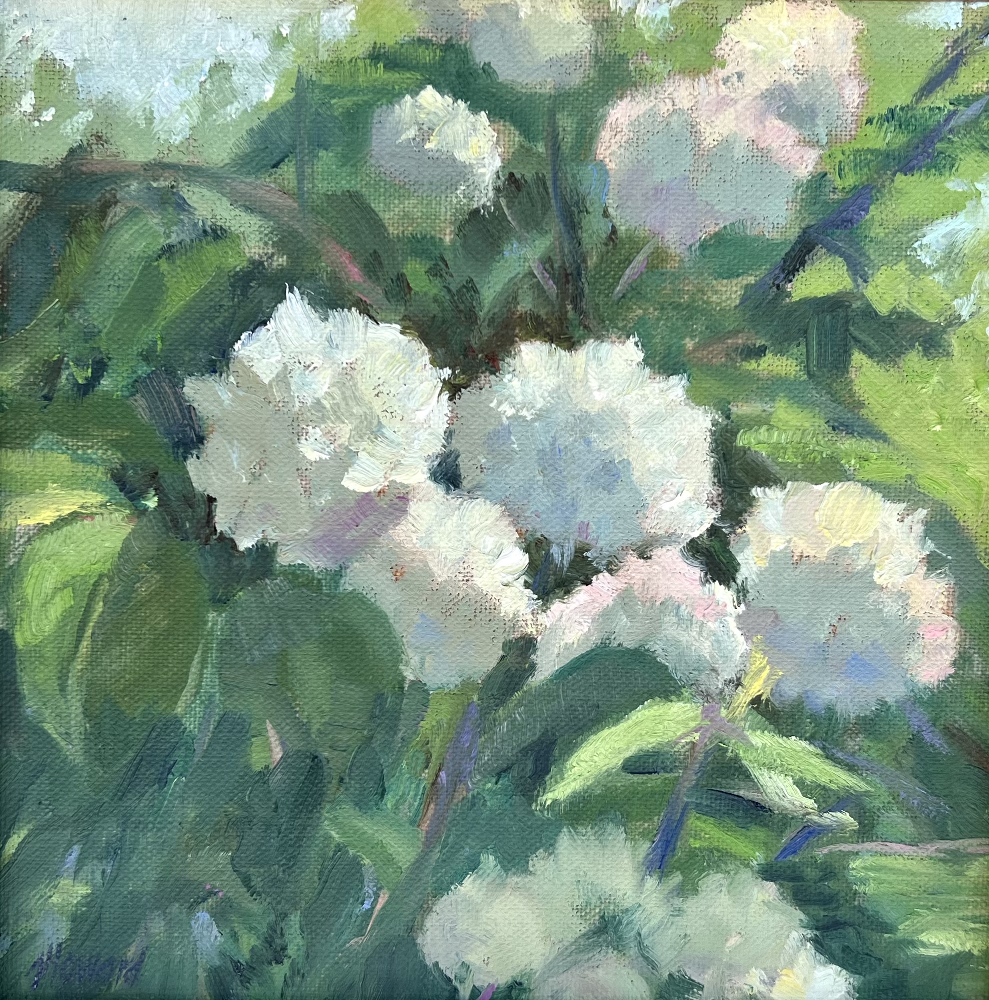 Floral Glory Floral Glory