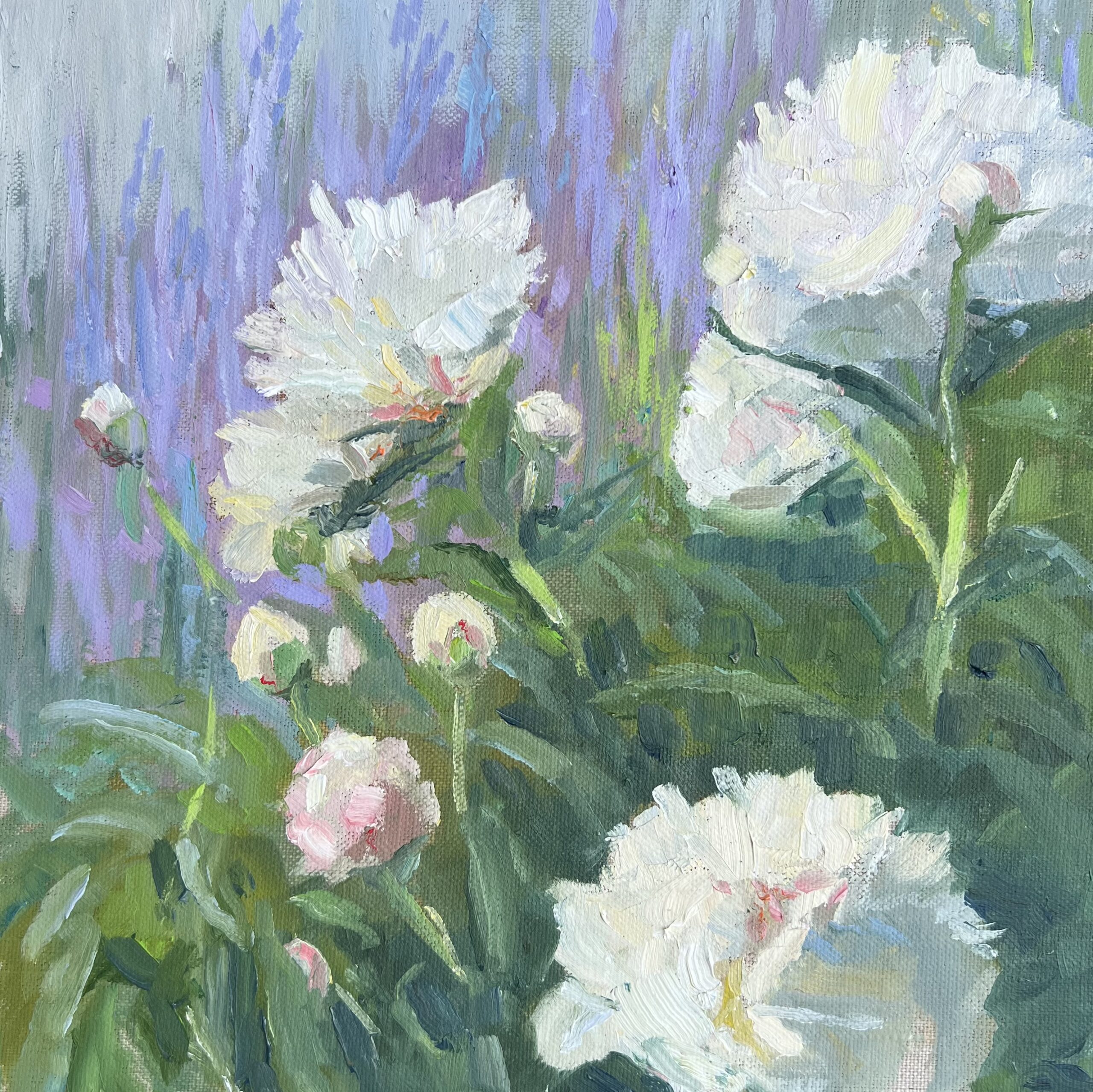 Peonies Popping Peonies Popping