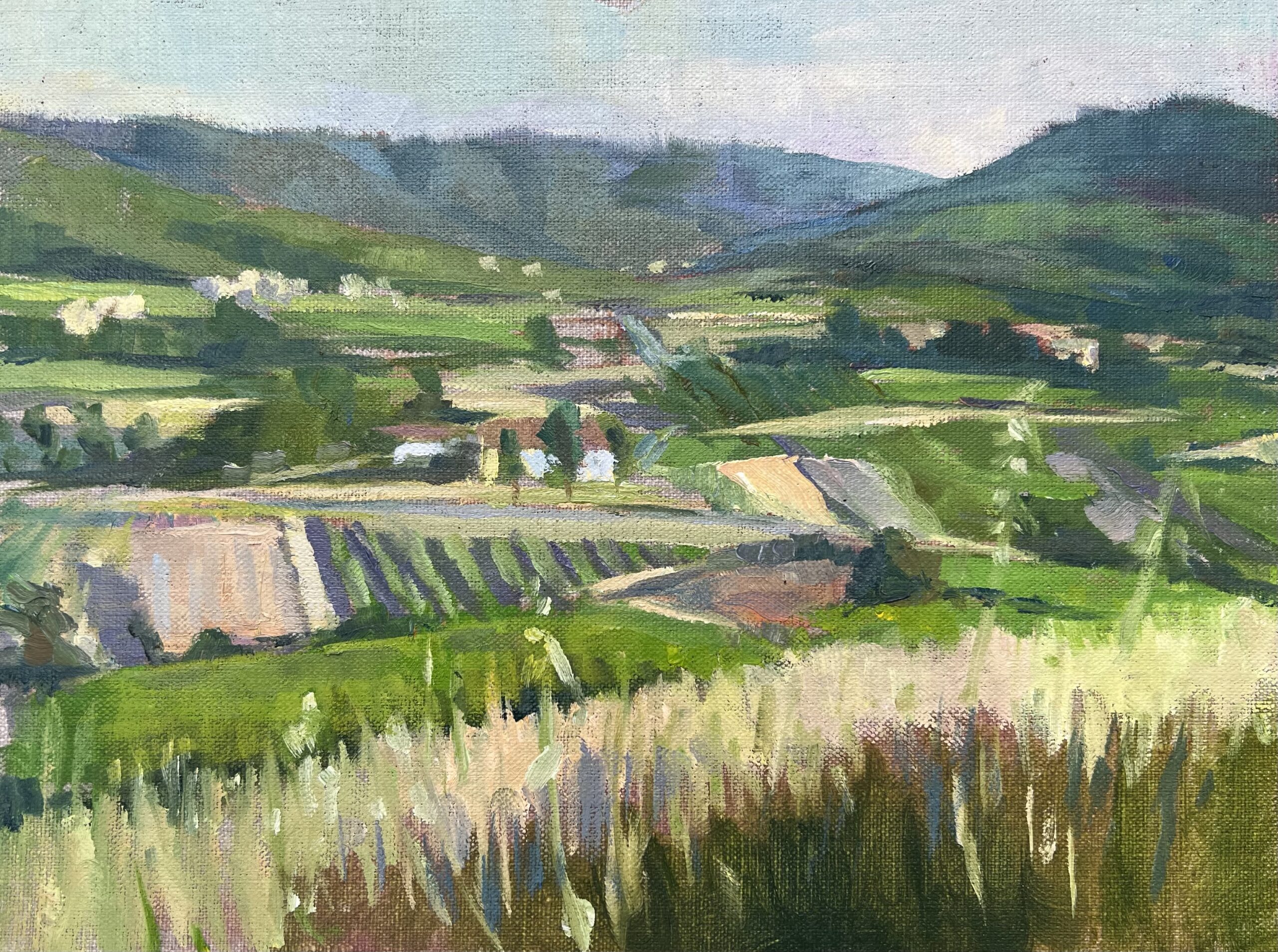 Provence Evening Provence Evening