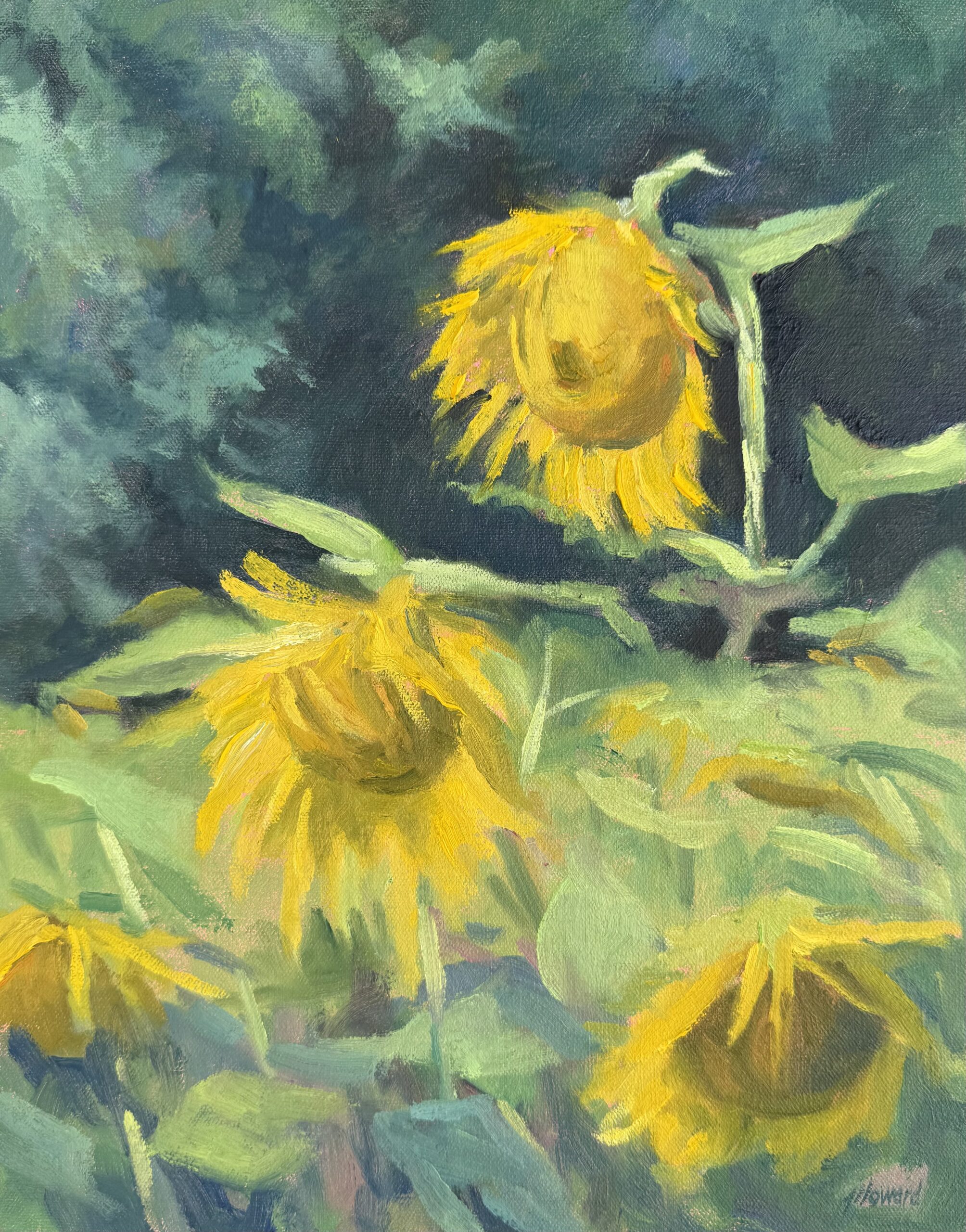 Fields Aglow Fields Aglow